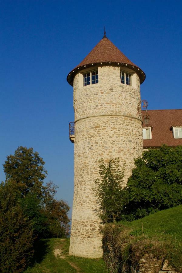 La Tour De Quinsonnas Bed & Breakfast Serezin-de-la-Tour Exterior photo